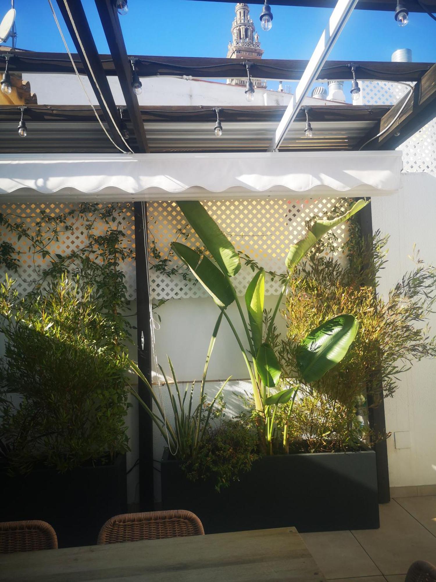 Appartamento Duplex Luxury Giralda With Terrace Siviglia Esterno foto